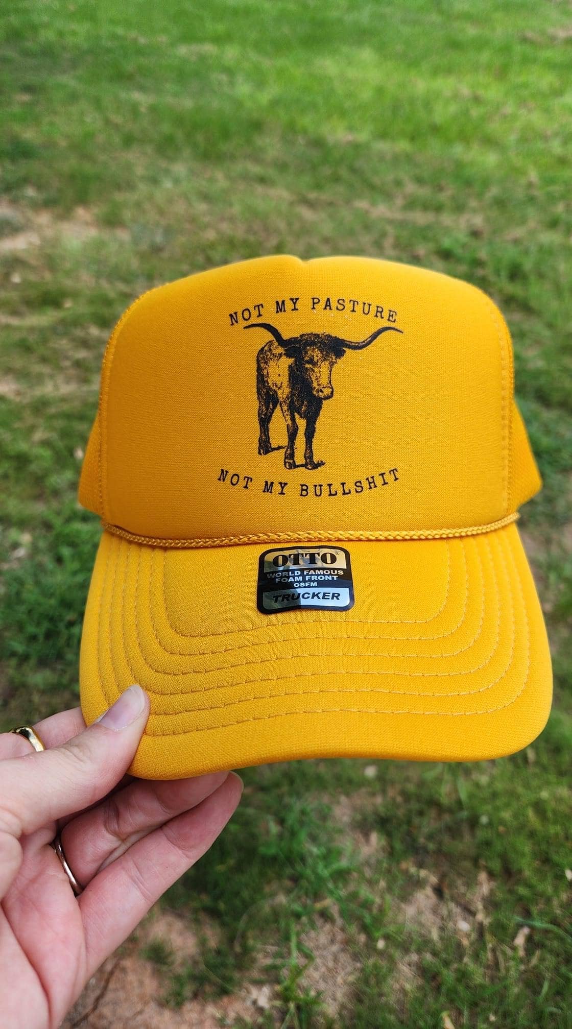 Not my Pasture.... Trucker