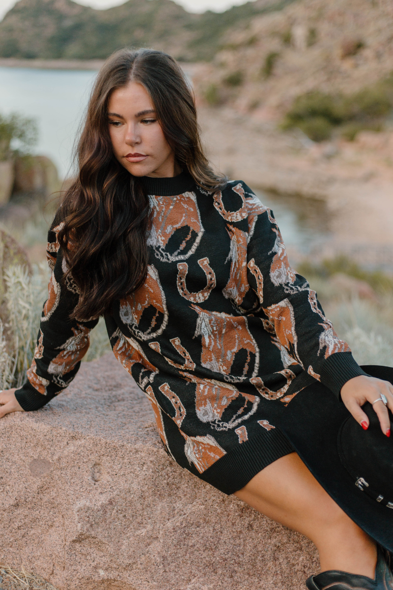 The Ruidoso Sweater Dress