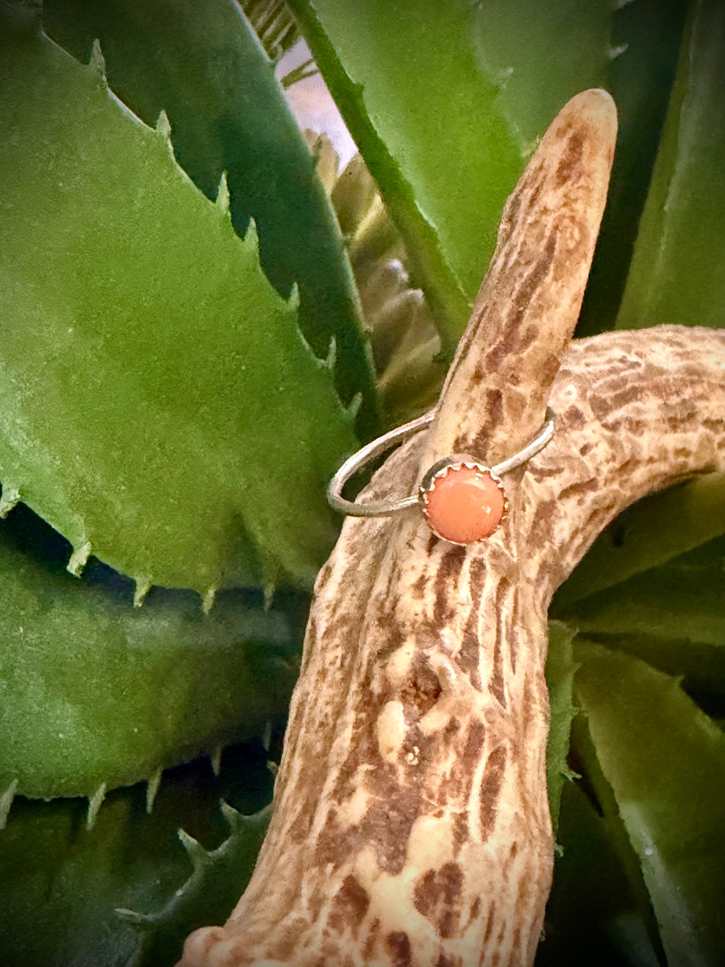 Pink Conch Simple Ring