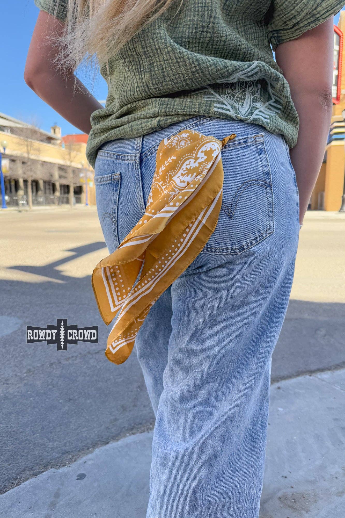 Buffalo Paisley Wild Rags