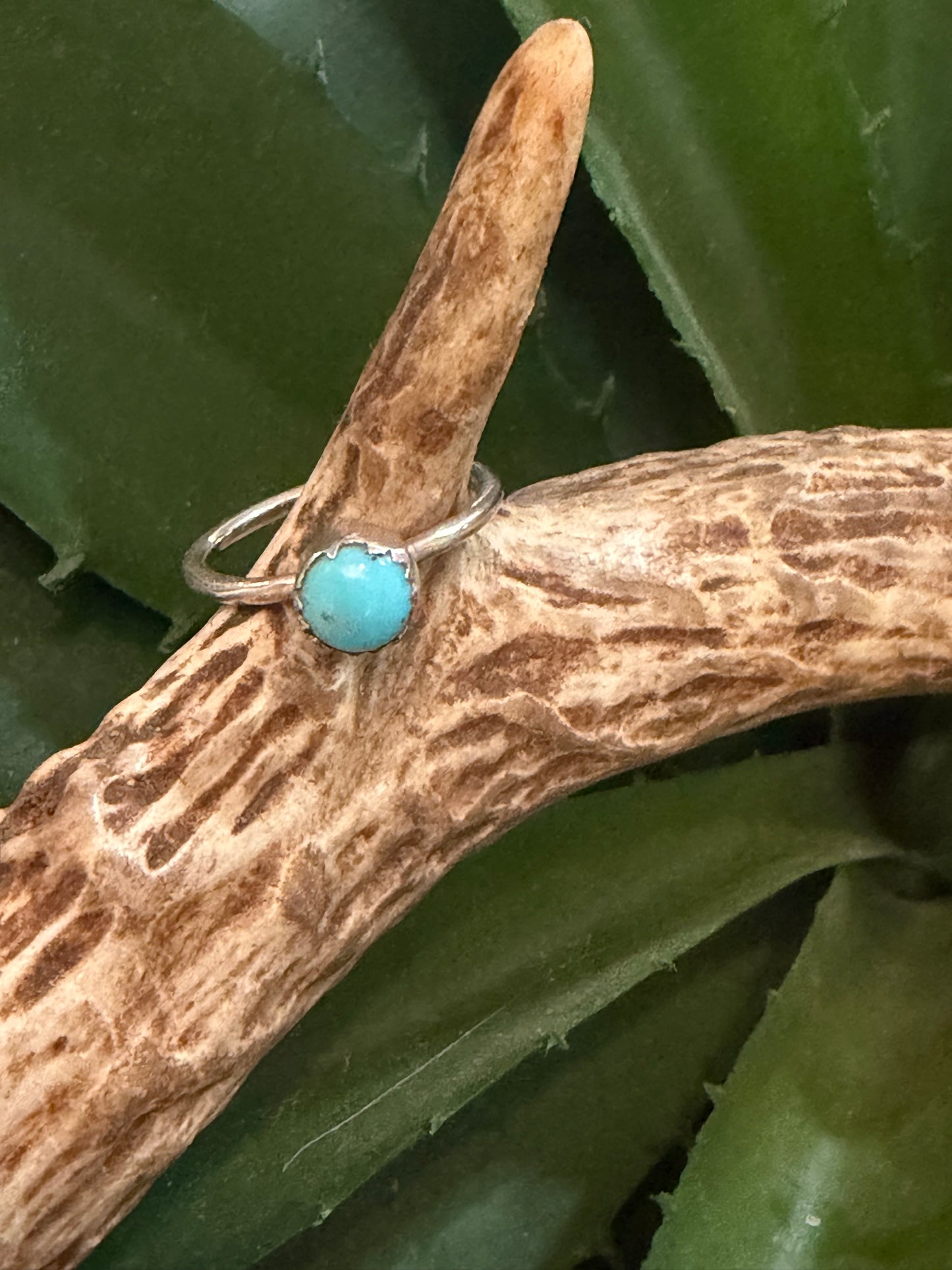 Kingman Turquoise Simple Ring