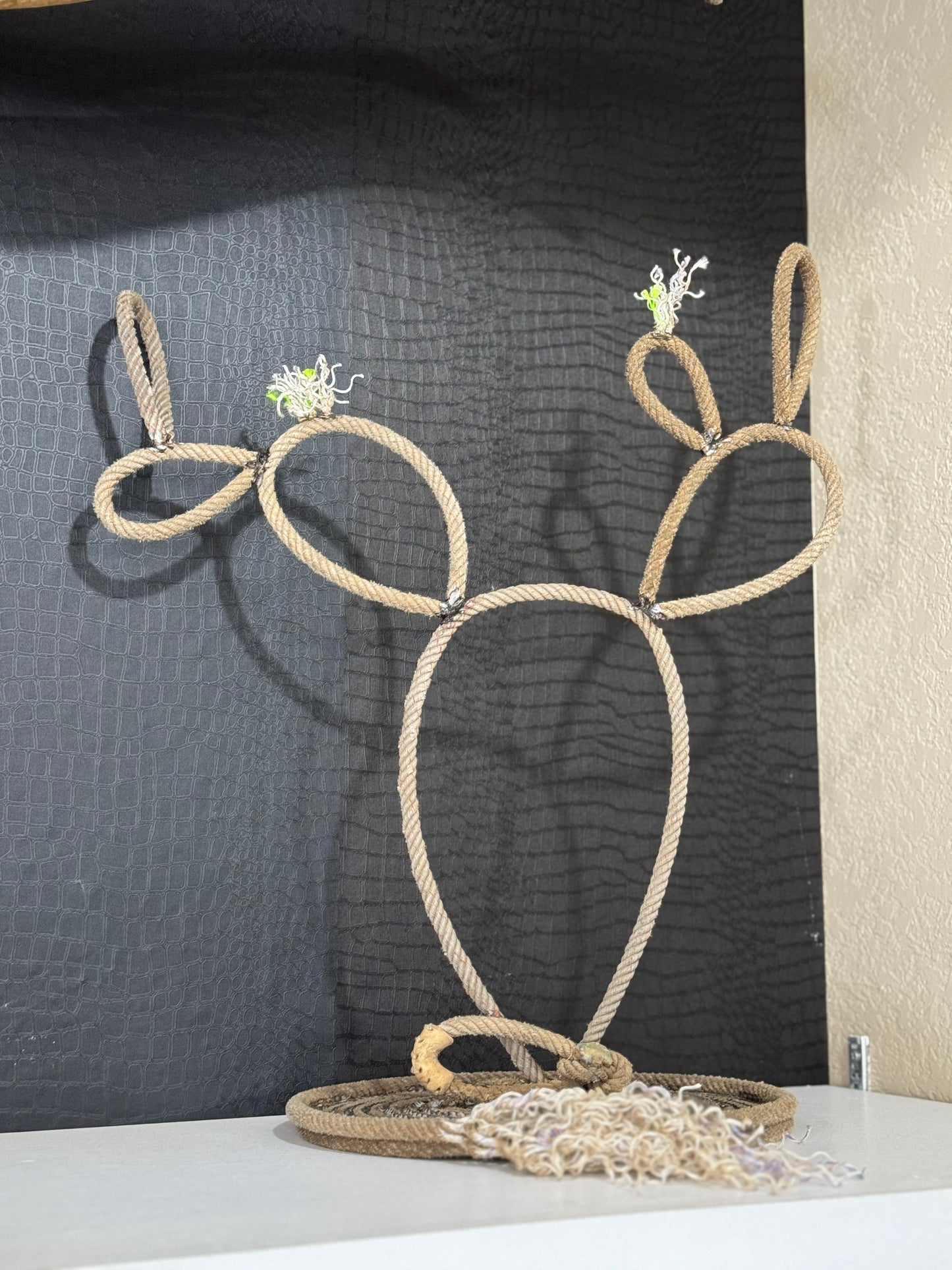 Medium Cactus Rope