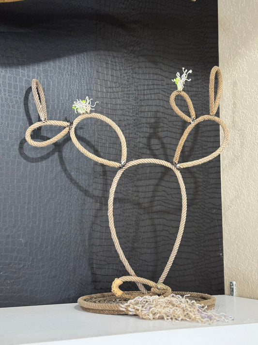 Medium Cactus Rope