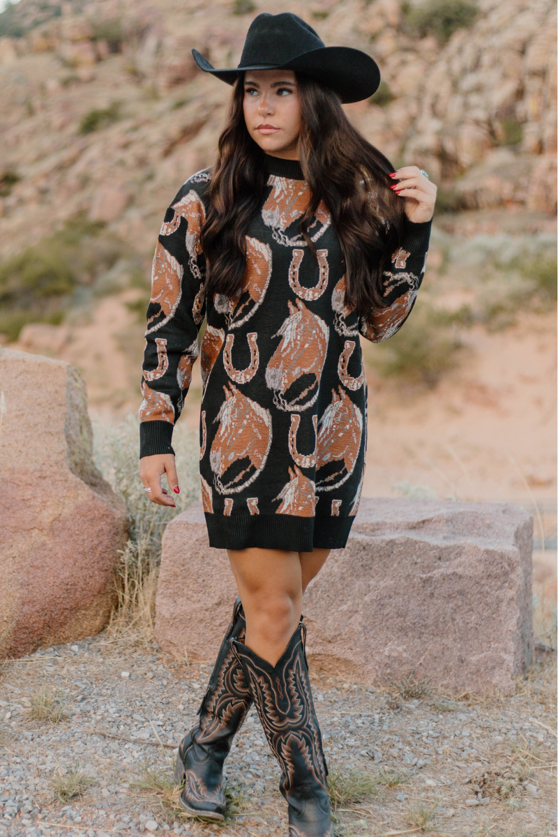 The Ruidoso Sweater Dress